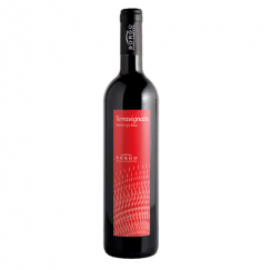 bottiglia marche rosso IGT terra vignata